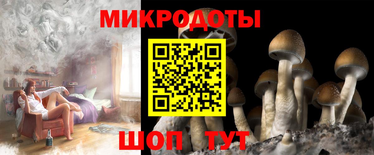 Псилоцибиновые грибы прущие грибы  Вход с VPN  купить закладку  Зеленогорск 