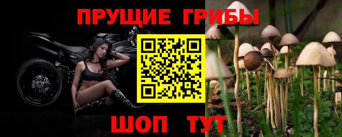 Псилоцибиновые грибы MAGIC MUSHROOMS Зеленогорск